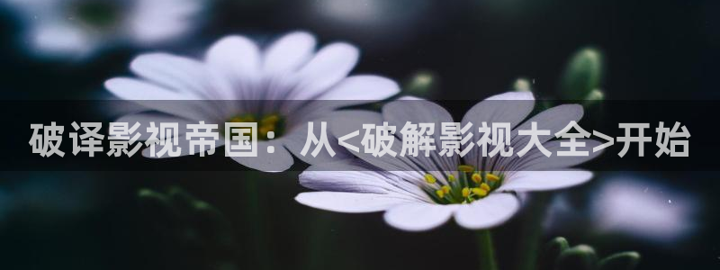 最新国产探花视频：破译影视帝国：从<破解影视大全>开始