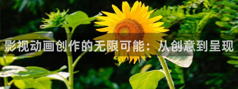 最新探花：影视动画创作的无限可能：从创意到呈现