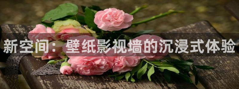小宝探花视频免费观看：新空间：壁纸影视墙的沉浸式体验