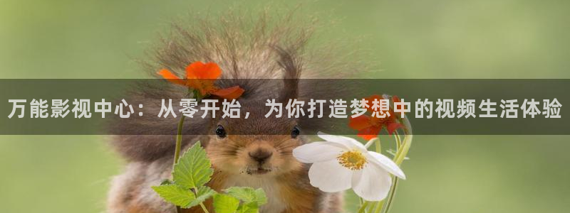 探花视频在线版：万能影视中心：从零开始，为你打造梦想中的视频生活体验