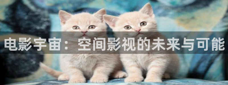 探花在线播放：电影宇宙：空间影视的未来与可能