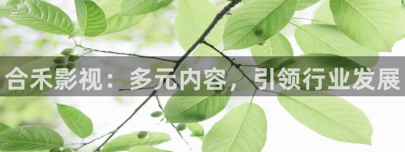 视频99探花