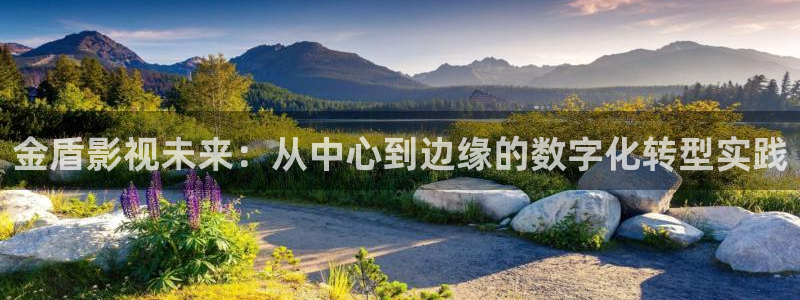 探花视：金盾影视未来：从中心到边缘的数字化转型实践