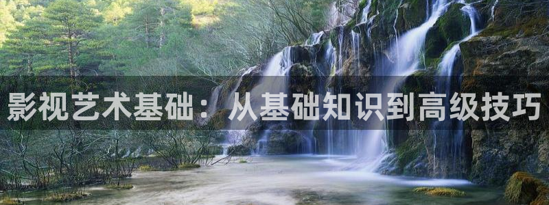 探花在线观看视频：影视艺术基础：从基础知识到高级技巧