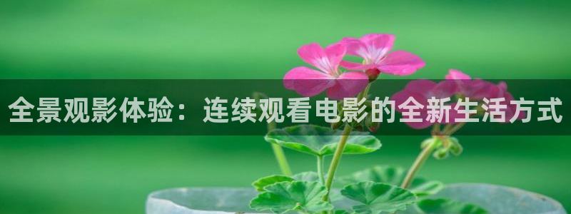 探花网址视频