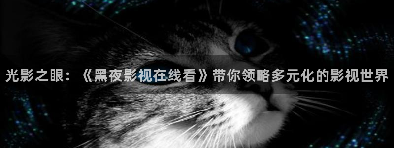 小宝探花视频免费观看