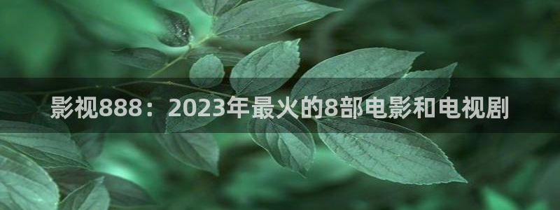 探花视频网址