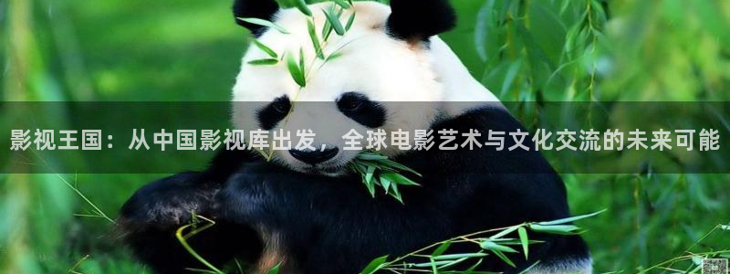 探花免费观看视频