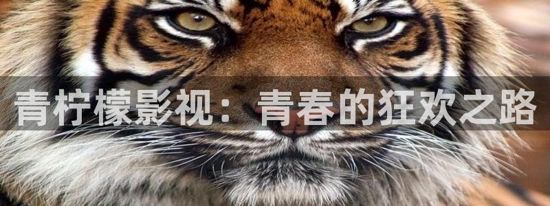 日韩探花视频：青柠檬影视：青春的狂欢之路