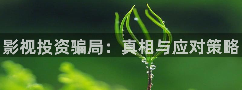 最新探花：影视投资骗局：真相与应对策略