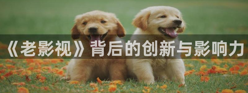 视频 探花 一区
